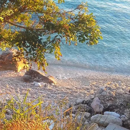 Maramare Pinus Appartamento *