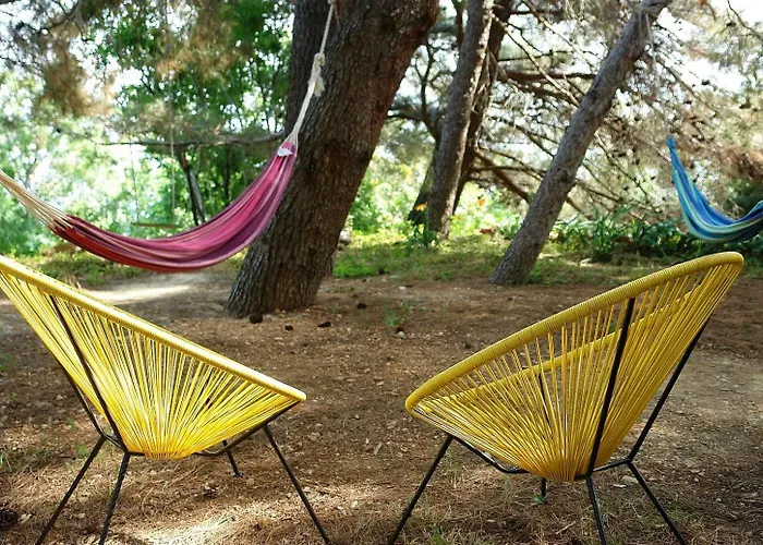 Maramare Pinus Stara Baška