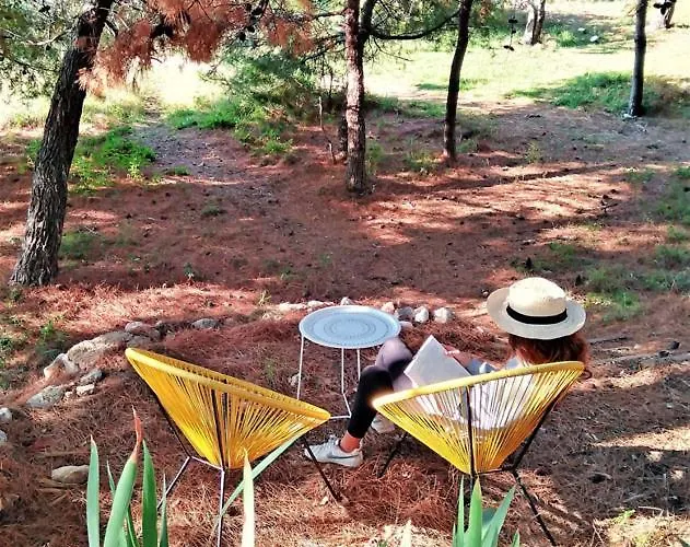 Maramare Pinus Appartement *