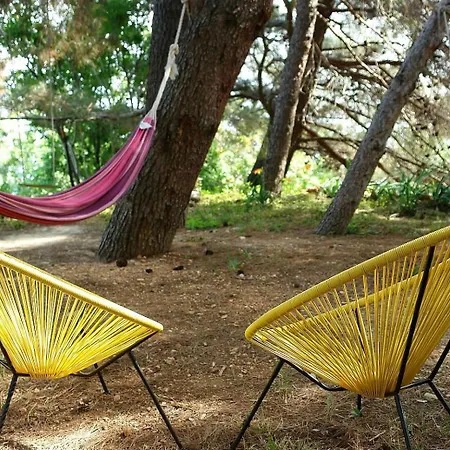 Maramare Pinus Stara Baška