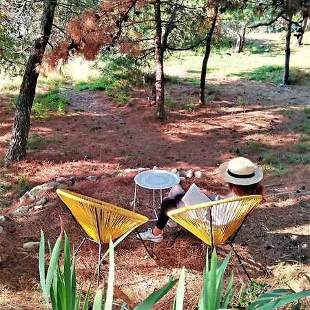 Maramare Pinus شقة *