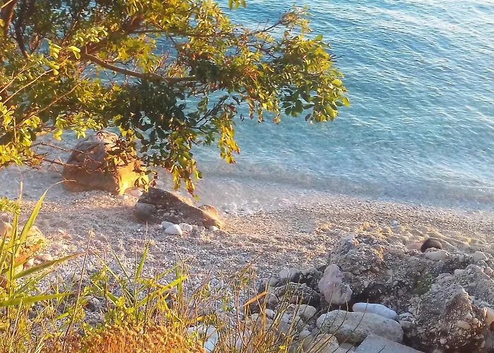 Maramare Pinus شقة *